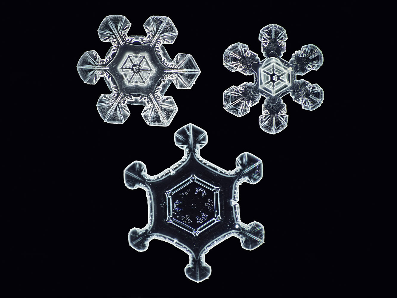 individual colorful snowflakes